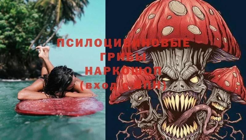 Псилоцибиновые грибы Magic Shrooms  Берёзовка 